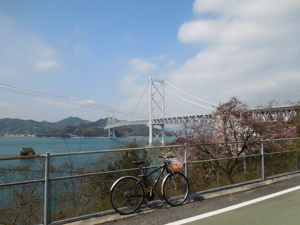 ... 自転車試乗 , 長期乗車レポート
