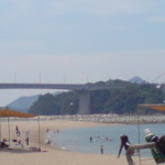 cropped-DSC00555.jpg