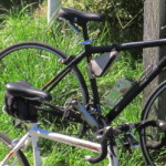cropped-IMG_00411.jpg