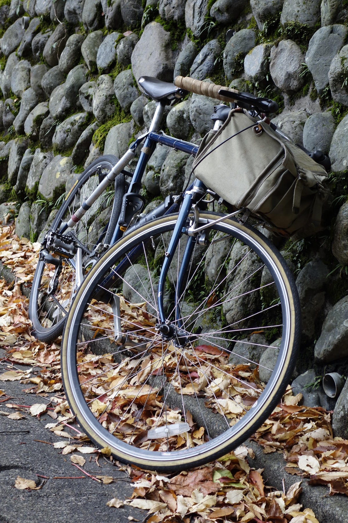 自転車 ineed