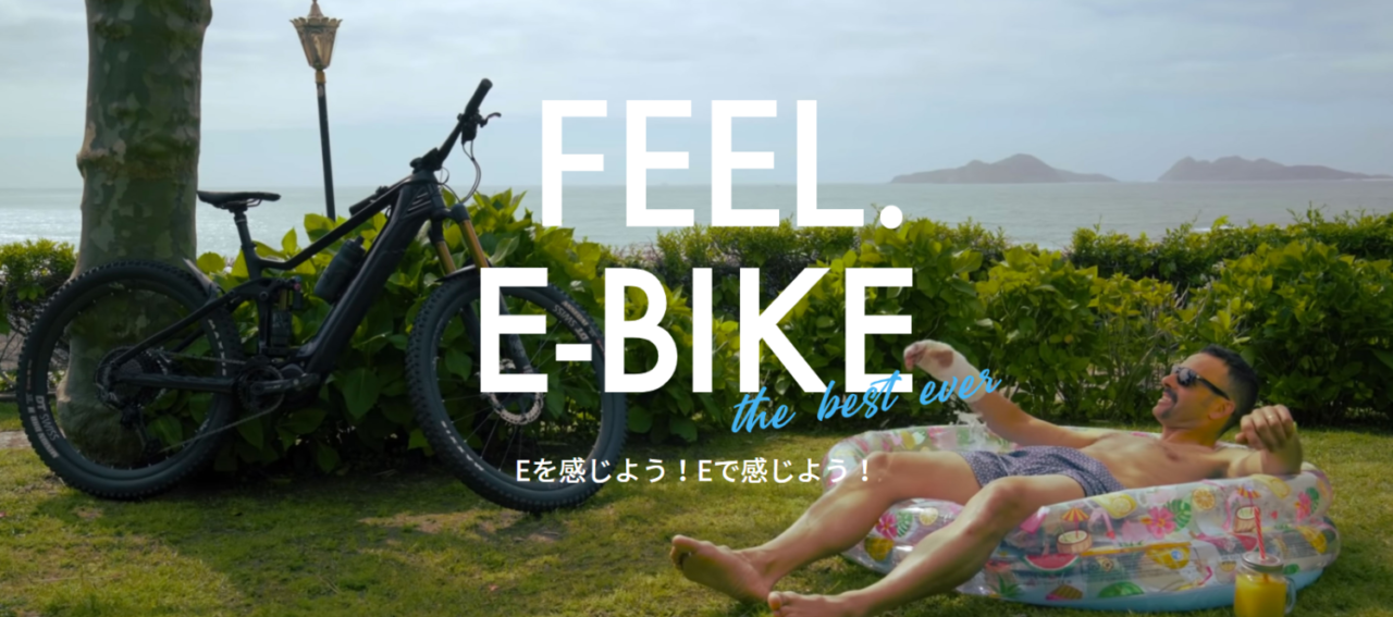 feelebike