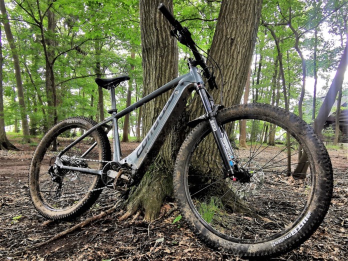 IMG_20200707_105017 (2)