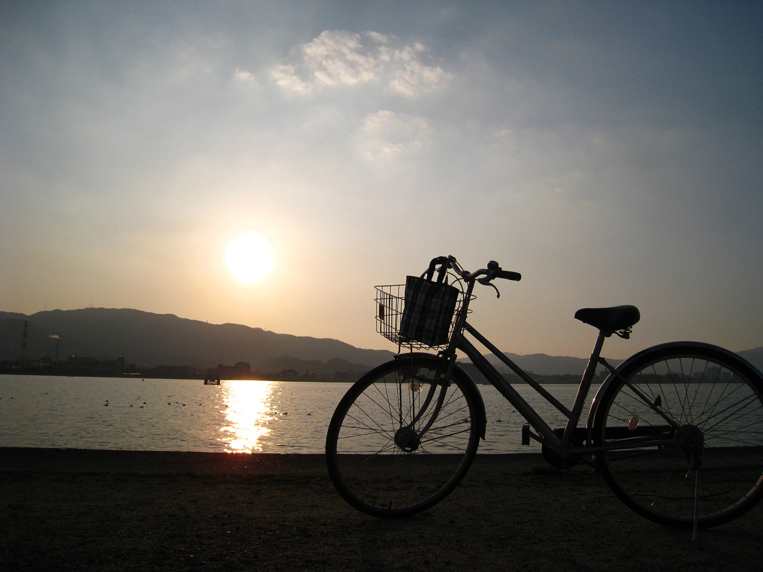 自転車 車道 危ない