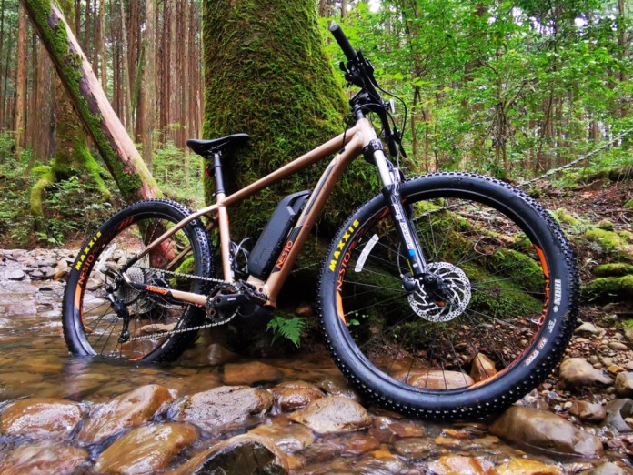 IMG_20201014_102503 (2)