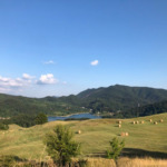 Lago Brasimone_ (2)