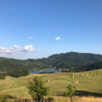Lago Brasimone_ (2)