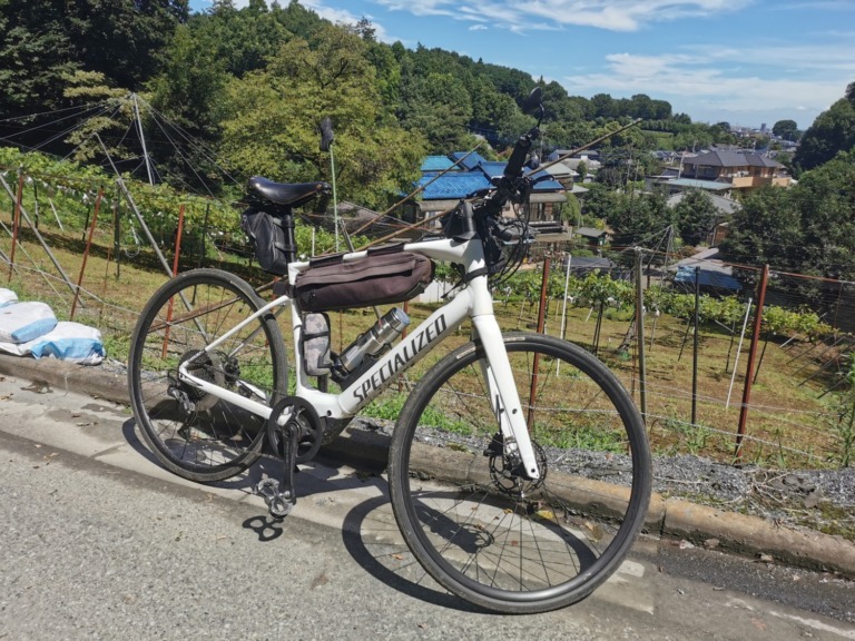 EｰBikeに乗っていると虫が寄り付かなくなる理由とは？【EｰBike初心者向け】