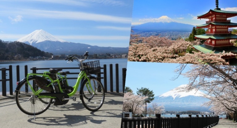 富士観光開発　地元サイクルガイド付き「富士山と桜を眺める絶景お花見サイクリングツアー」開催