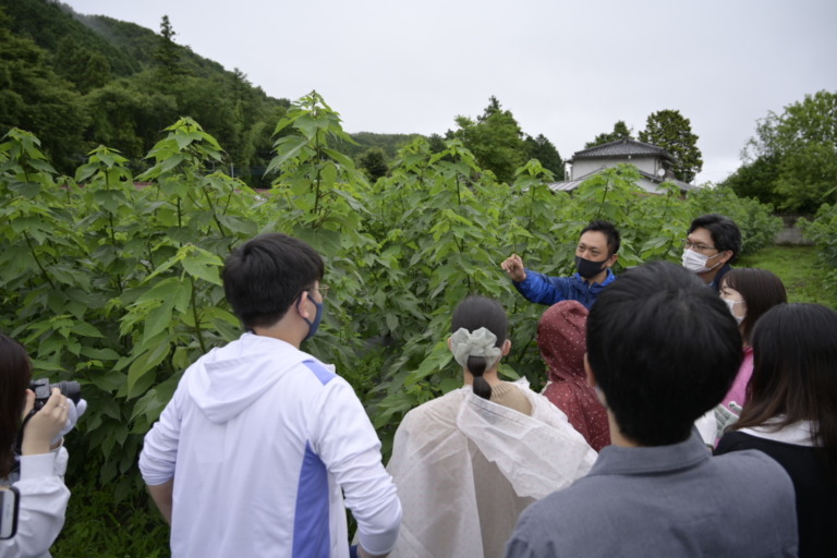 楮の芽を摘み食す！地域の「食農」を生かす体験型サイクリングイベント開催決定