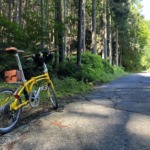 3680982A-EB16-49BA-A1F6-A851A5DF431C