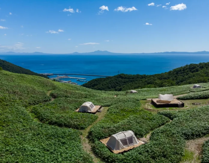 113189-2-acf4db9fc356b6d338db093099fe6768-3194x2500