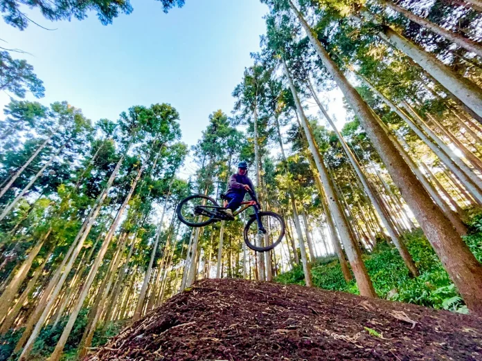 42170-5-368a2d7193ea2153df3737ead8a3e29b-1478x1108