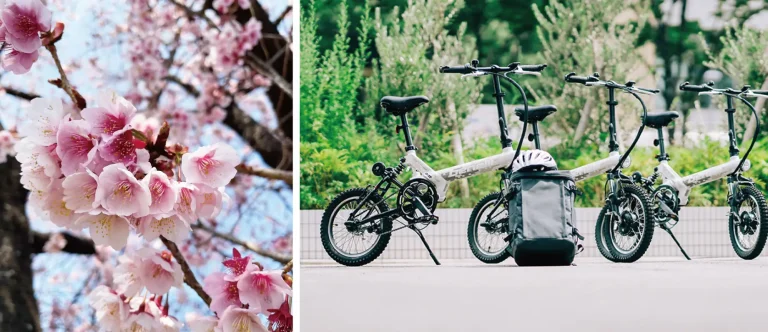 ホテルグランヴィア和歌山、桜シーズンに合わせて“桜みどころ おすすめスポット”のサイクリングマップを作成