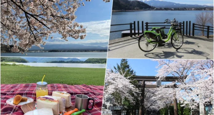 czMjZXllY2F0Y2gjNjg0NzEjNjg0NzFfY0pReVJQeFBkQi5qcGc