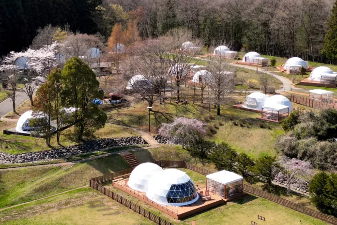 109152-8-8044ba2b1e19360569686f3d04ec68ce-1950x1300