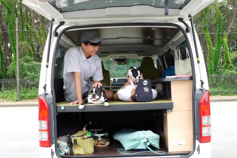愛犬とのハイエース車中泊旅を手軽に楽しめる、お手軽バンライフモデル「HACO×DOG」登場　トイファクトリー