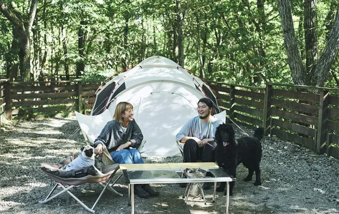 115389-18-a756a8f31a5854faf6eaa5c689c8ca9c-900x569