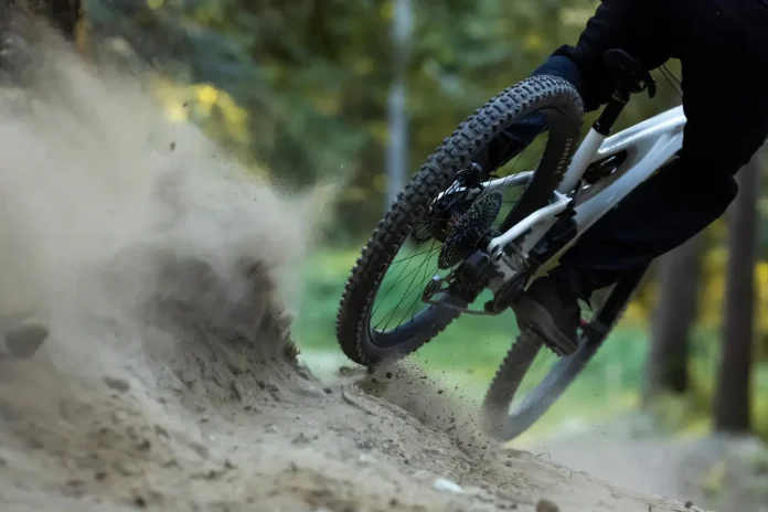 9768-130-93009fa1c78cbdfd62a24b34ae27e88f-3900x2600