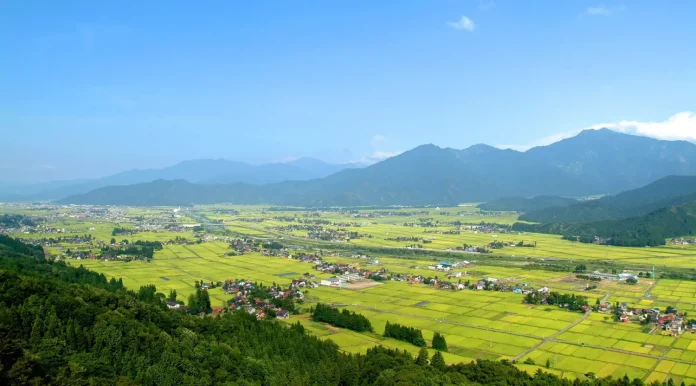 90796-194-28139e0514e81b614e16ccefc130bbe9-3024x1676