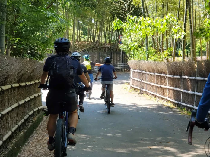 142309-5-b97f1c10eaaebe1ac162d08b59a51166-3900x2925