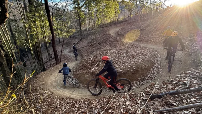 89079-29-df1cbad9f6e033c5a240815d2ee2acc6-3900x2194